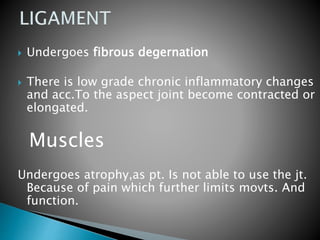  Undergoes fibrous degernation
 There is low grade chronic inflammatory changes
and acc.To the aspect joint become contracted or
elongated.
Muscles
Undergoes atrophy,as pt. Is not able to use the jt.
Because of pain which further limits movts. And
function.
 