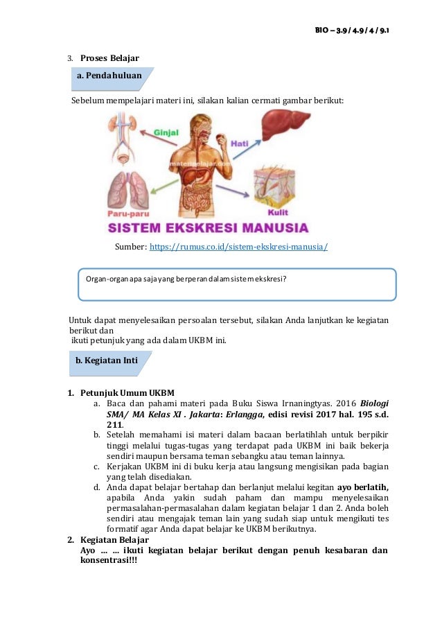 Ukbm Bio Kd 3 9 Sistem Ekskresi