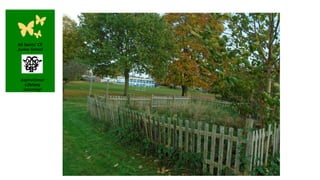 All Saints’ CE
Junior School
Aspirational
Lifelong
Learning!
 