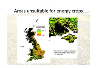 Areas unsuitable for energy crops
 