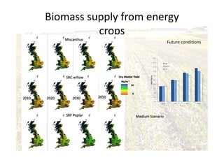 Biomass supply from energy
crops
Future conditions
8.0
8.5
9.0
9.5
10.0
10.5
11.0
11.5
12.0
12.5
13.0
2010 2020 2030 2050
MxgMg/ha
High
Medium
Low
 