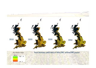 Biomass supply from energy
crops
Dry Matter Yield
Mg ha-1
24
 