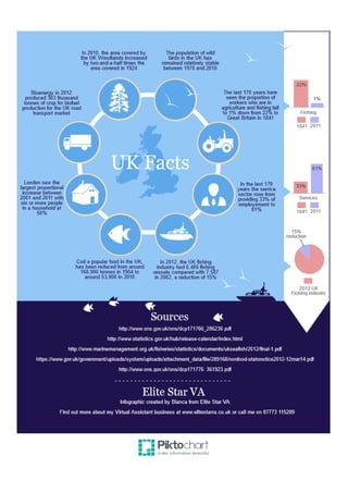 Bianca Botten - Elite Star VA - UK Facts Infographic