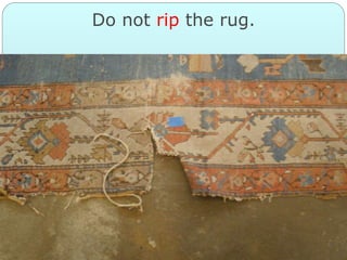 Do Not Rip Books Sign SIGHT WORDS KG | PPT
