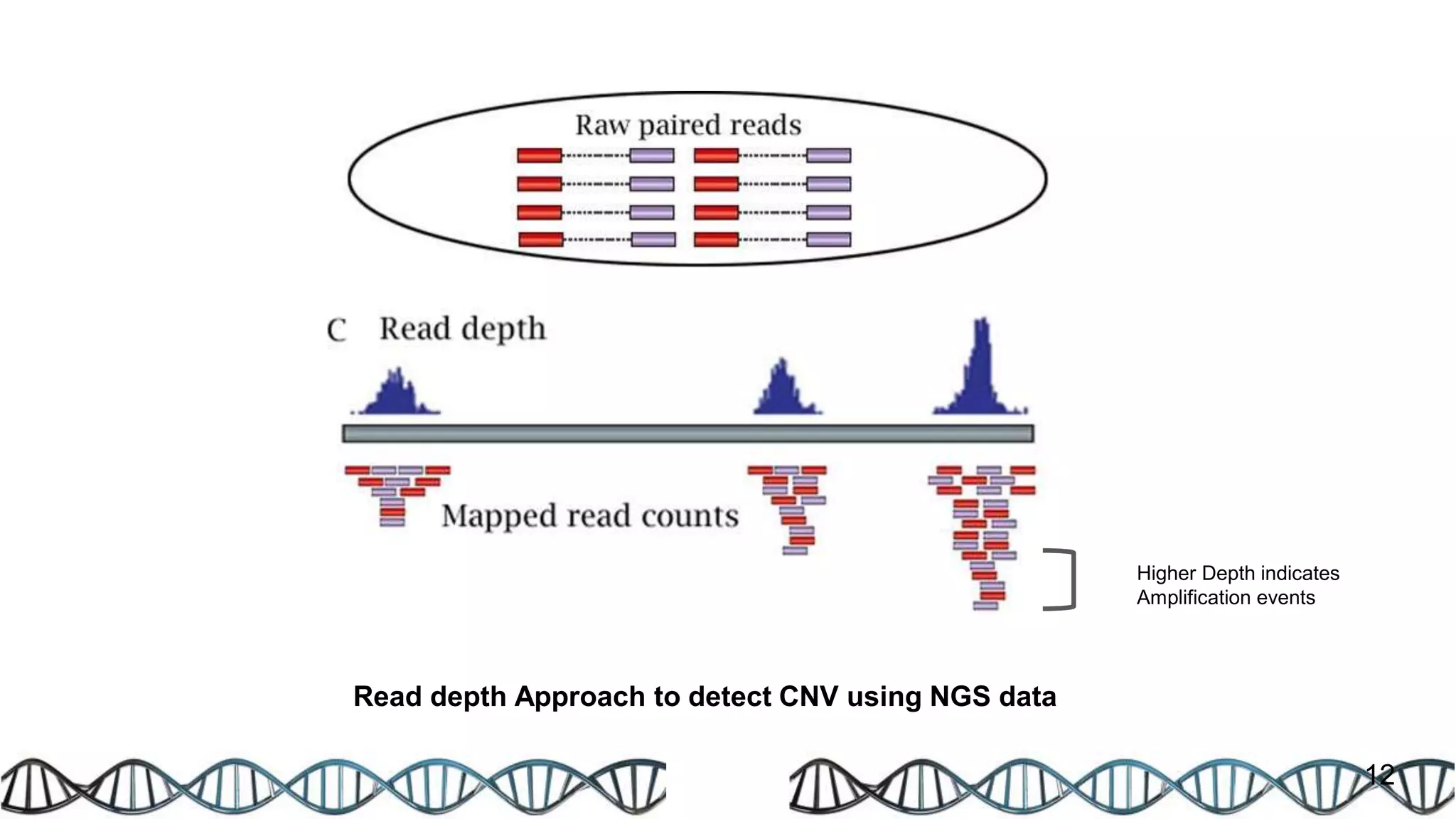 Read depth Approach to detect CNV using NGS data
12
Higher Depth indicates
Amplification events
 