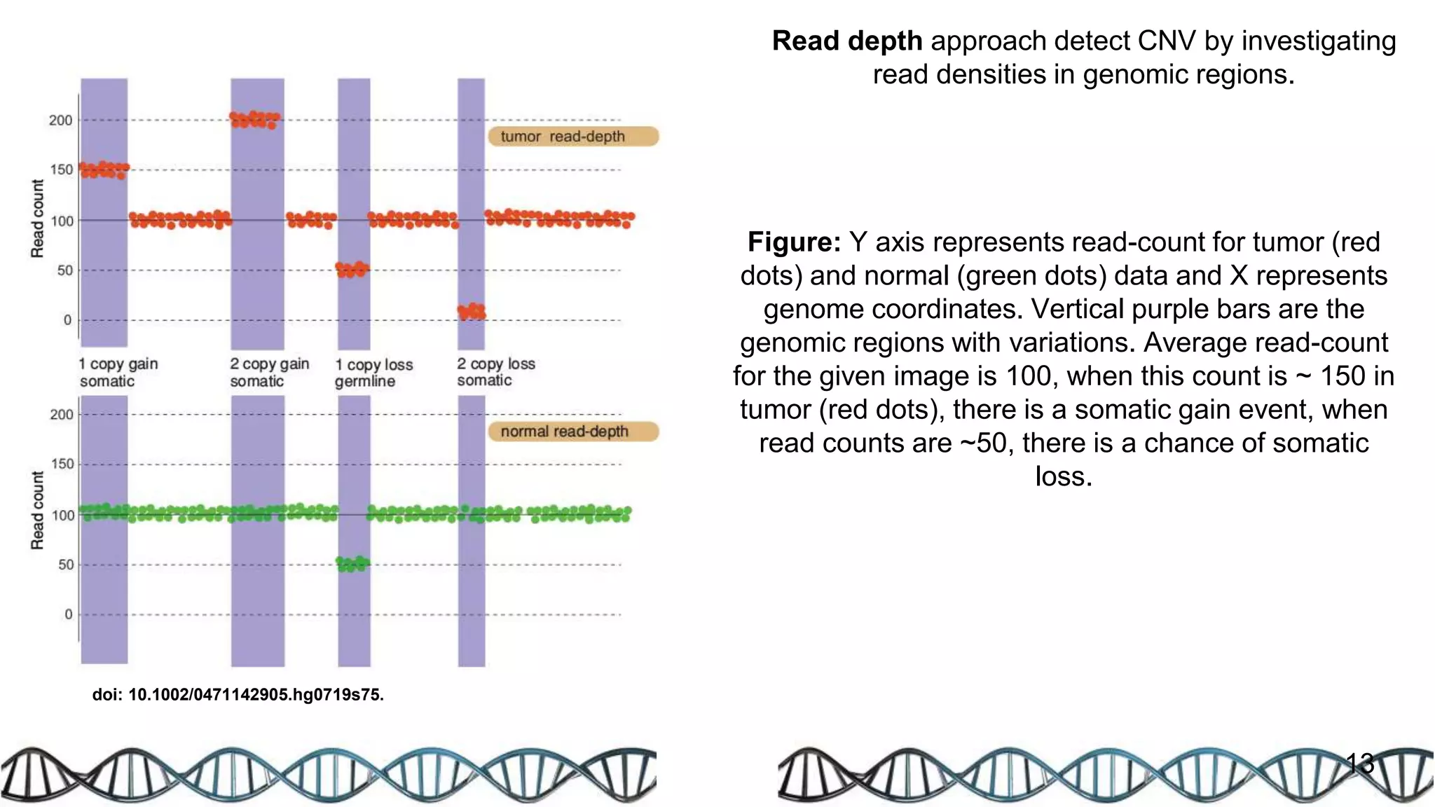 13
Read depth approach detect CNV by investigating
read densities in genomic regions.
doi: 10.1002/0471142905.hg0719s75.
Figure: Y axis represents read-count for tumor (red
dots) and normal (green dots) data and X represents
genome coordinates. Vertical purple bars are the
genomic regions with variations. Average read-count
for the given image is 100, when this count is ~ 150 in
tumor (red dots), there is a somatic gain event, when
read counts are ~50, there is a chance of somatic
loss.
 