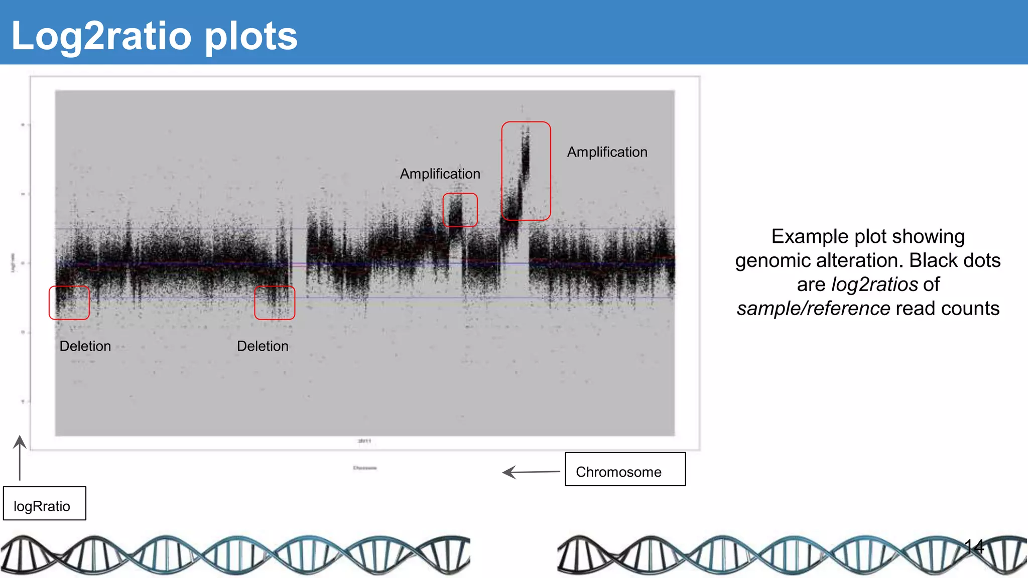 Log2ratio plots
14
logRratio
Chromosome
Amplification
Deletion
Example plot showing
genomic alteration. Black dots
are log2ratios of
sample/reference read counts
Deletion
Amplification
 