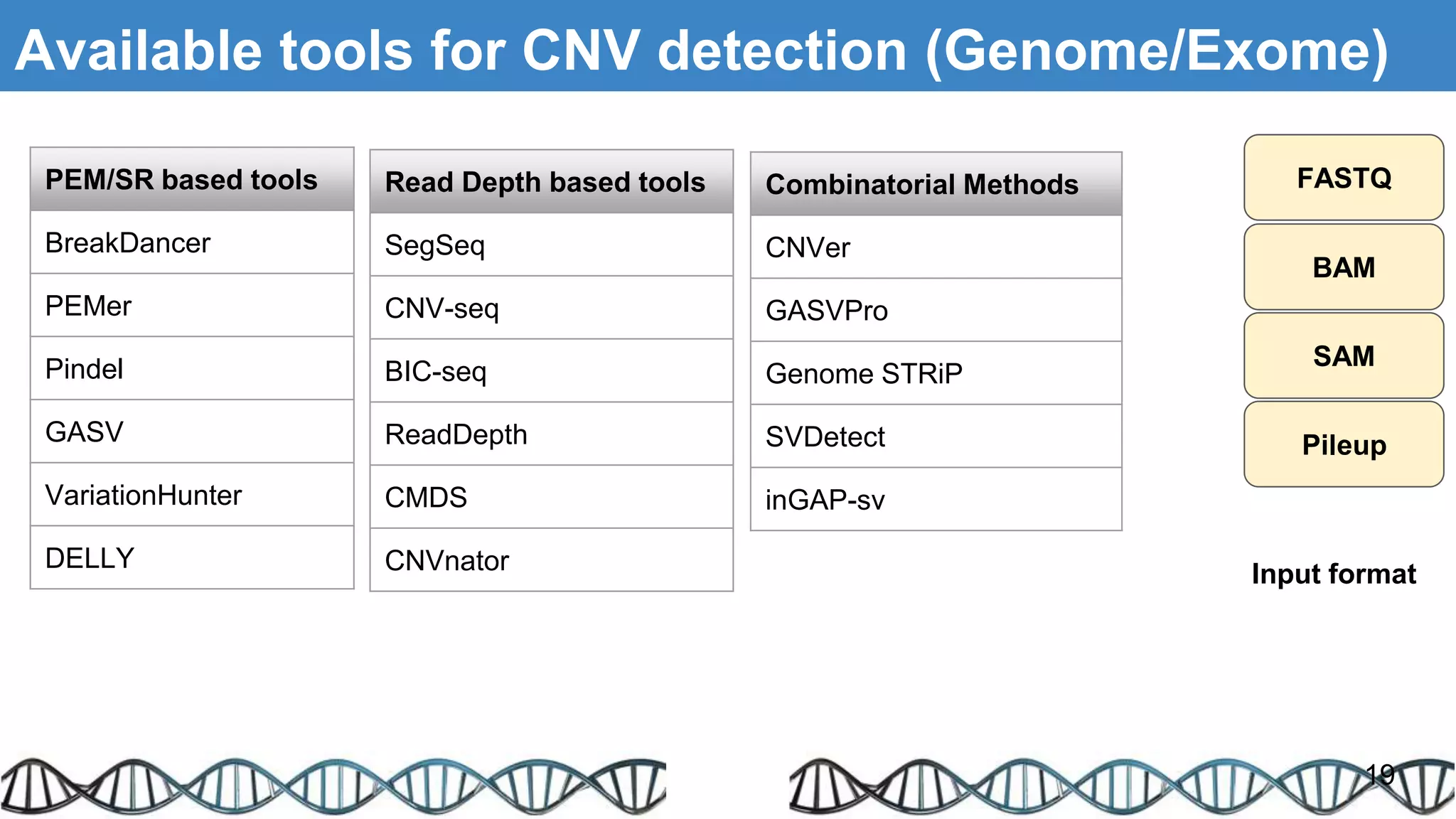 Read Depth based tools
SegSeq
CNV-seq
BIC-seq
ReadDepth
CMDS
CNVnator
PEM/SR based tools
BreakDancer
PEMer
Pindel
GASV
VariationHunter
DELLY
Combinatorial Methods
CNVer
GASVPro
Genome STRiP
SVDetect
inGAP-sv
FASTQ
BAM
SAM
Pileup
19
Input format
Available tools for CNV detection (Genome/Exome)
 