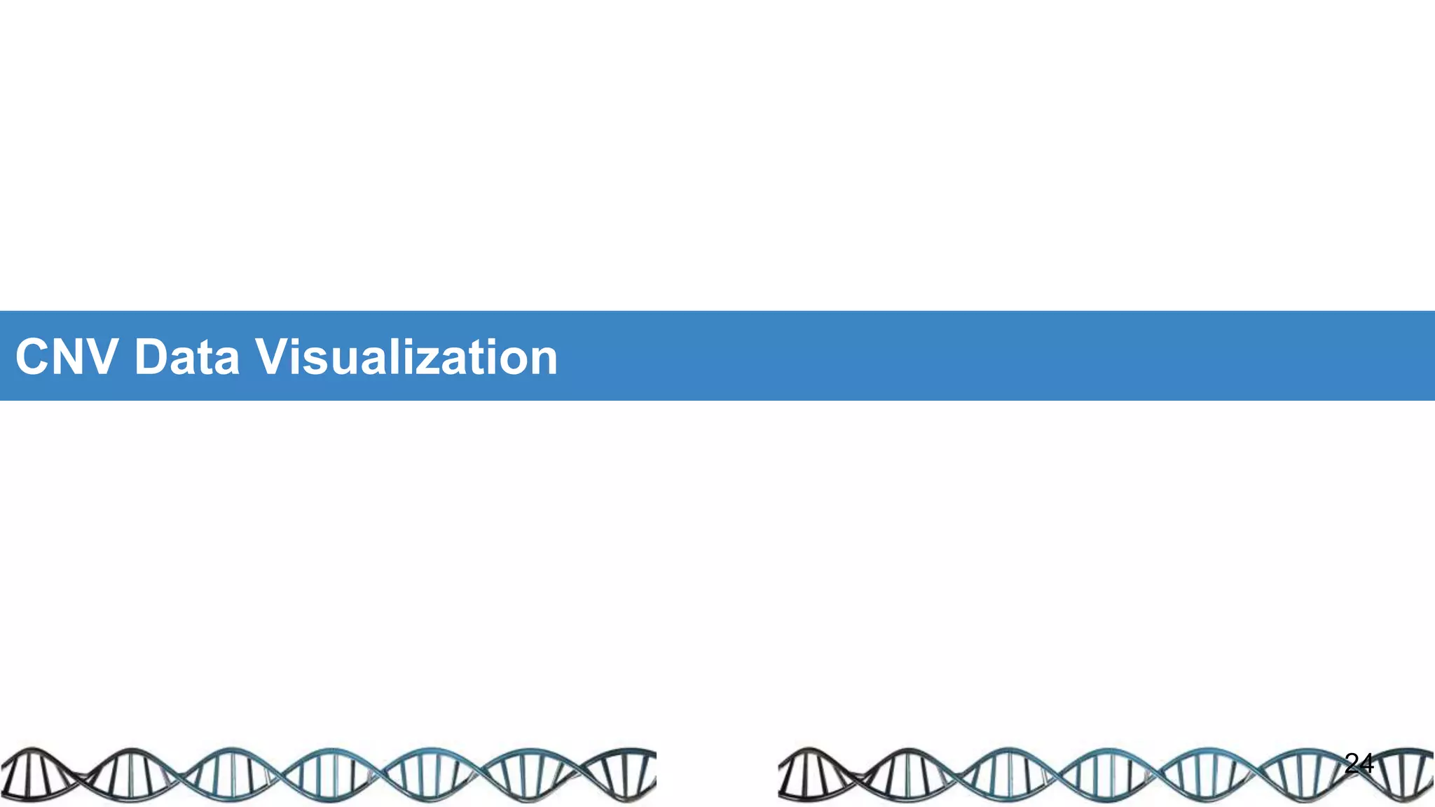 CNV Data Visualization
24
 