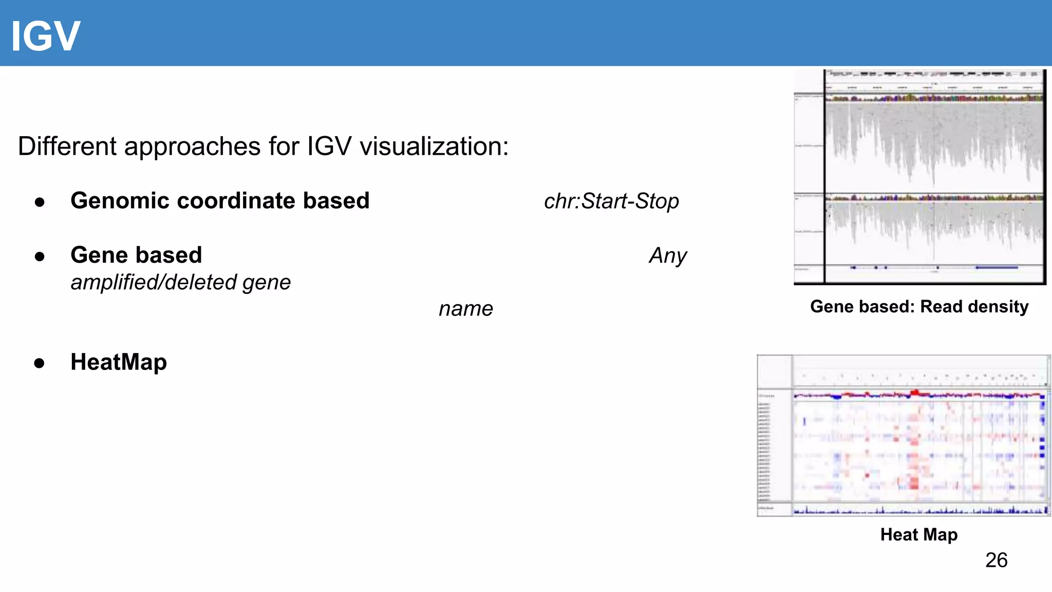 IGV
26
Different approaches for IGV visualization:
● Genomic coordinate based chr:Start-Stop
● Gene based Any
amplified/deleted gene
name
● HeatMap
Gene based: Read density
Heat Map
 