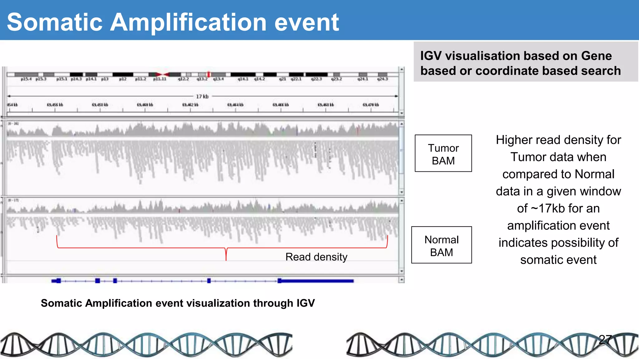 Somatic Amplification event
27
Tumor
BAM
Normal
BAM
Somatic Amplification event visualization through IGV
Read density
Higher read density for
Tumor data when
compared to Normal
data in a given window
of ~17kb for an
amplification event
indicates possibility of
somatic event
IGV visualisation based on Gene
based or coordinate based search
 