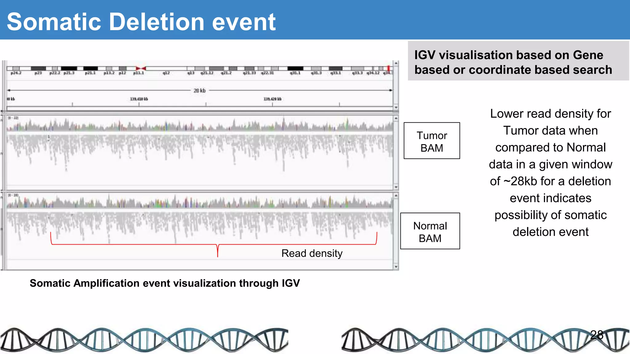 Somatic Deletion event
28
Read density
Lower read density for
Tumor data when
compared to Normal
data in a given window
of ~28kb for a deletion
event indicates
possibility of somatic
deletion event
Somatic Amplification event visualization through IGV
Tumor
BAM
Normal
BAM
IGV visualisation based on Gene
based or coordinate based search
 