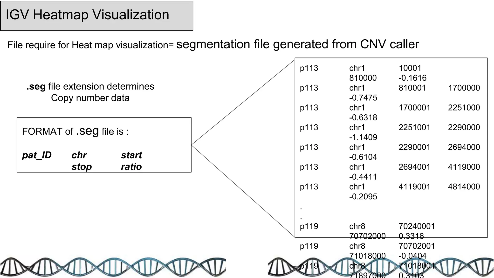 File require for Heat map visualization= segmentation file generated from CNV caller
FORMAT of .seg file is :
pat_ID chr start
stop ratio
p113 chr1 10001
810000 -0.1616
p113 chr1 810001 1700000
-0.7475
p113 chr1 1700001 2251000
-0.6318
p113 chr1 2251001 2290000
-1.1409
p113 chr1 2290001 2694000
-0.6104
p113 chr1 2694001 4119000
-0.4411
p113 chr1 4119001 4814000
-0.2095
.
.
p119 chr8 70240001
70702000 0.3316
p119 chr8 70702001
71018000 -0.0404
p119 chr8 71018001
.seg file extension determines
Copy number data
IGV Heatmap Visualization
 