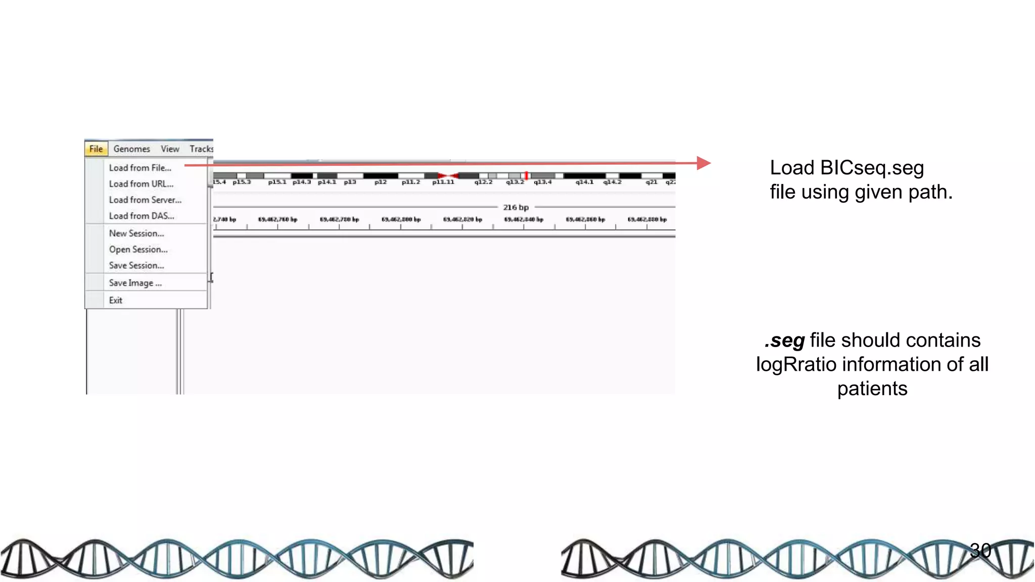 30
Load BICseq.seg
file using given path.
.seg file should contains
logRratio information of all
patients
 