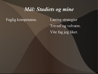 Mine lærlingstrategier dette halvåret. 