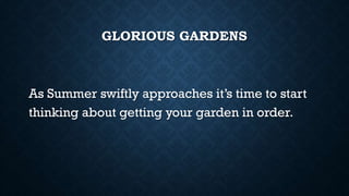 GLORIOUS GARDENS
As Summer swiftly approaches it’s time to start
thinking about getting your garden in order.
 