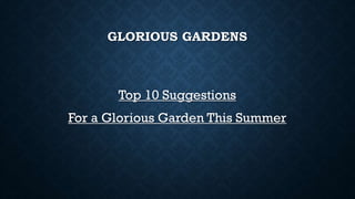 GLORIOUS GARDENS
Top 10 Suggestions
For a Glorious Garden This Summer
 
