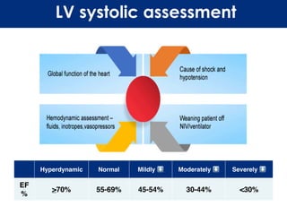 UKM_FoCUS_VIEWS_&_LV_Systolic_assessment_NOTES_WITHOUT_VIDEOS.pdf