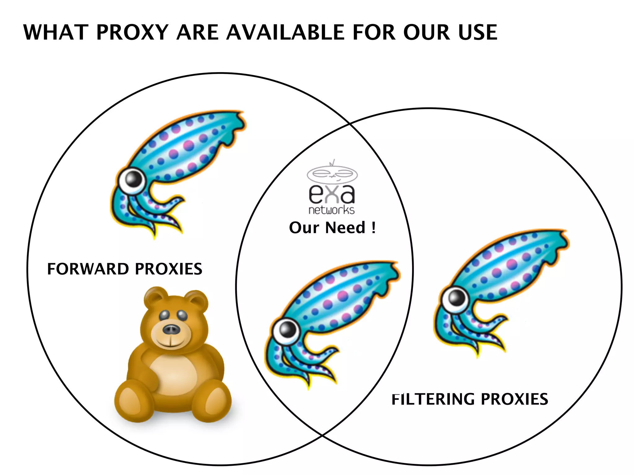 FORWARD PROXIES
FILTERING PROXIES
WHAT PROXY ARE AVAILABLE FOR OUR USE
Our Need !
 