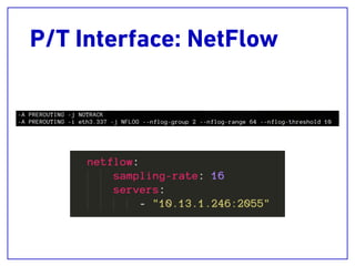 P/T Interface: NetFlow
 