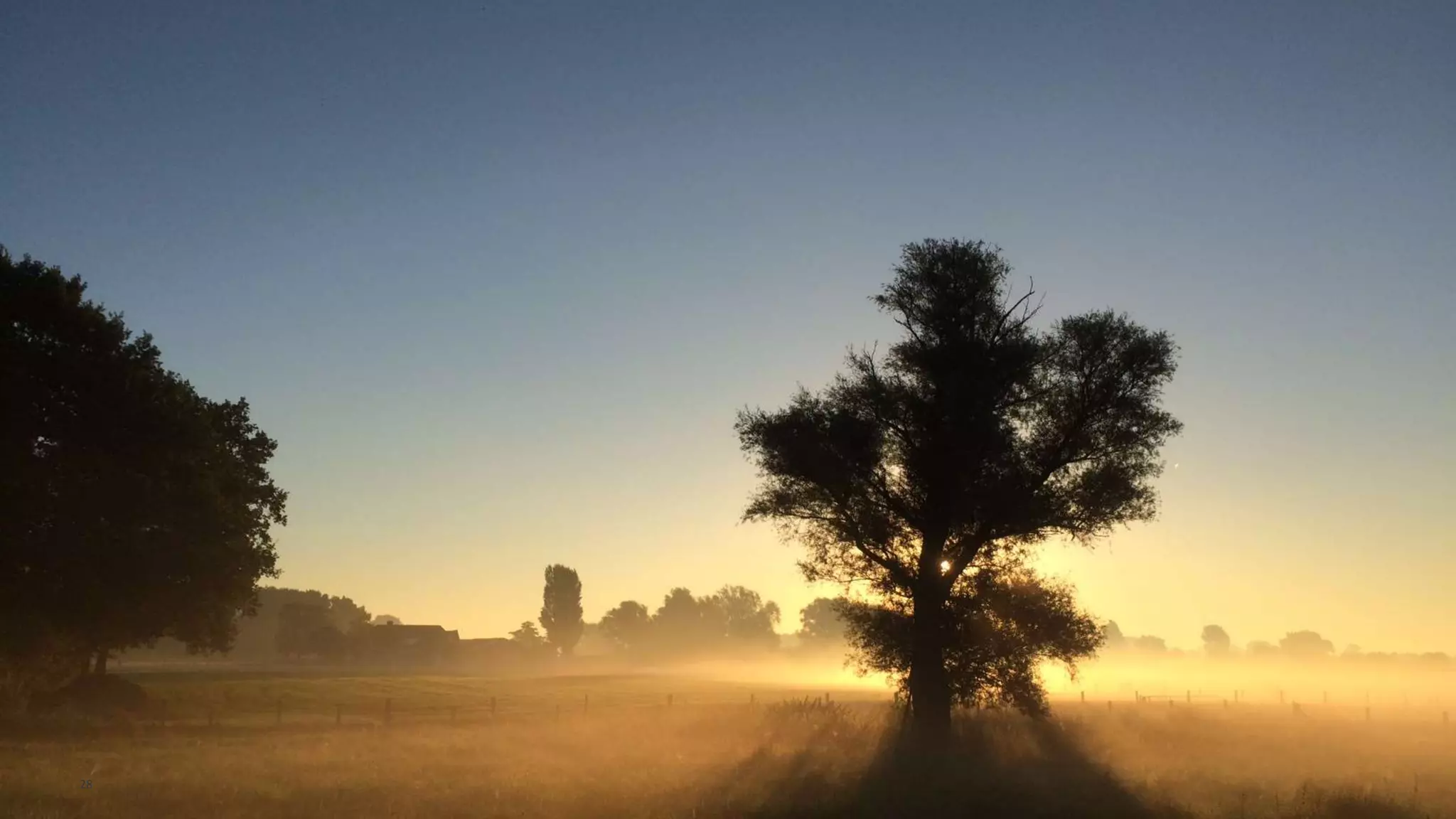 Copyright © 2014, eProseed and/or its affiliates. All rights reserved. | Confidential
28
 