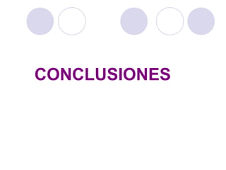 CONCLUSIONES
 