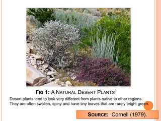 FIG 1: A NATURAL DESERT PLANTS
Desert plants tend to look very different from plants native to other regions.
They are often swollen, spiny and have tiny leaves that are rarely bright green.
SOURCE: Cornell (1979).
 