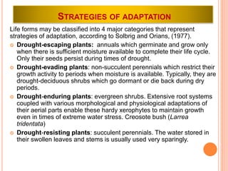 STRATEGIES OF ADAPTATION
Life forms may be classified into 4 major categories that represent
strategies of adaptation, according to Solbrig and Orians, (1977).
 Drought-escaping plants: annuals which germinate and grow only
when there is sufficient moisture available to complete their life cycle.
Only their seeds persist during times of drought.
 Drought-evading plants: non-succulent perennials which restrict their
growth activity to periods when moisture is available. Typically, they are
drought-deciduous shrubs which go dormant or die back during dry
periods.
 Drought-enduring plants: evergreen shrubs. Extensive root systems
coupled with various morphological and physiological adaptations of
their aerial parts enable these hardy xerophytes to maintain growth
even in times of extreme water stress. Creosote bush (Larrea
tridentata)
 Drought-resisting plants: succulent perennials. The water stored in
their swollen leaves and stems is usually used very sparingly.
 