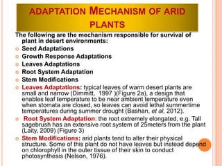 ADAPTATION MECHANISM OF ARID
PLANTS
The following are the mechanism responsible for survival of
plant in desert environments:
 Seed Adaptations
 Growth Response Adaptations
 Leaves Adaptations
 Root System Adaptation
 Stem Modifications
 Leaves Adaptations: typical leaves of warm desert plants are
small and narrow (Dimmitt, 1997 )(Figure 2a), a design that
enables leaf temperature to be near ambient temperature even
when stomata are closed, so leaves can avoid lethal summertime
temperatures during summer drought (Bashan, et al, 2012).
 Root System Adaptation: the root extremely elongated, e.g. Tall
sagebrush has an extensive root system of 25meters from the plant
(Laity, 2009) (Figure 3)
 Stem Modifications: arid plants tend to alter their physical
structure. Some of this plant do not have leaves but instead depend
on chlorophyll in the outer tissue of their skin to conduct
photosynthesis (Nelson, 1976).
 