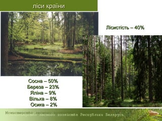 ліси країниліси країни
ЛісистістьЛісистість – 40%– 40%
СоснаСосна – 50%– 50%
БерезаБереза – 23%– 23%
ЯлЯлiiнана – 9%– 9%
В...
