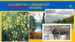 LE CLIMAT DE L’ UKRAINE EST 
CONTINENTAL MODÉRÉ. 
 