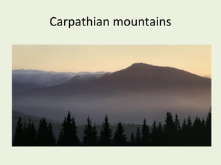 Carpathian mountains

 