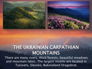 THE UKRAINIAN CARPATHIAN
MOUNTAINS
There are many rivers, thick forests, beautiful meadows
and mountain lakes. The largest...