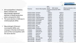 • All municipalities in KwaZulu
Natal, Limpopo and
Mpumalanga registered
declines in wheat production
when compared to 202...