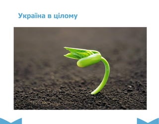 Україна в цілому
 