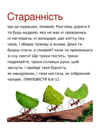 Ukrainian Motivational Diligence Tract.pdf