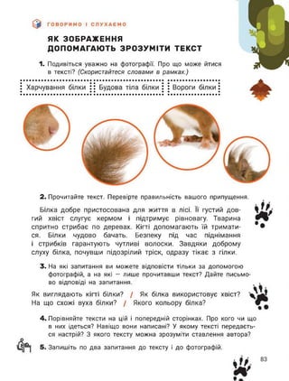 ЯК ЗОБРАЖЕННЯ
ДОПОМАГАЮТЬ ЗРОЗУМІТИ ТЕКСТ
1. Подивіться уважно на фотографії. Про що може йтися
в тексті? (Скористайтеся словами в рамках.)
2. Прочитайте текст. Перевірте правильність вашого припущення.
Білка добре пристосована для життя в лісі. Її густий дов­
гий хвіст слугує кермом і підтримує рівновагу. Тварина
спритно стрибає по деревах. Кігті допомагають їй тримати­
ся. Білки чудово бачать. Безпеку під час піднімання
і стрибків гарантують чутливі волоски. Завдяки доброму
слуху білка, почувши підозрілий тріск, одразу тікає з гілки.
3. На які запитання ви можете відповісти тільки за допомогою
фотографій, а на які - лише прочитавши текст? Дайте письмо­
во відповіді на запитання.
Як виглядають кігті білки? / Як білка використовує хвіст?
На що схожі вуха білки? / Якого кольору білка?
4. Порівняйте тексти на цій і попередній сторінках. Про кого чи що
в них ідеться? Навіщо вони написані? У якому тексті передаєть­
ся настрій? З якого тексту можна зрозуміти ставлення автора?
5. Запишіть по два запитання до тексту і до фотографій.
 