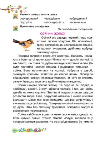 Навчися швидко читати слова,
розчарований несподівано
підозріло непосидющість
набридливий
кореневище
Прочитайте оповідання.
М' За Володимиром Титаренком
СОЙЧИНІ ЖОЛУДІ
Осінній ліс завжди повитий ледь при­
мітною легкою зажурою. Він мовчазний,
трохи розчарований несподіваною тишею,
холодними туманами, дрібними набрид­
ливими дощами.
Посеред галявини росте дуб-велетень. Падають і пада­
ють з його густої крони золоті блискітки — дозрілі жолуді. їх
так багато, що трава під дубом нагадує золотавий килим. До
дуба підлетіла чимала пташка. Придивився пильніше —
сойка. Вона накинулася на жолуді. Набрала в дзьоб,
змахнула крильми, полетіла до старої ялини. Підозріло
обдивилася навкруг. Пересвідчувалася, чи ніхто не стежить
за нею. І швидко висипала здобич у невеличке дупло.
Сойка швидко збирає жолуді. Та бере не всі підряд, а
найбільші, дозрілі. Знову набрала жолудів, і так, що навіть
дзьоба не може стулити. Злетіла й подалася цього разу до
розлогого явора. Сіла, покрутила голівкою. Почала ніжками
розчищати місце між кореневищами. Ще раз озирнулась і
висипала туди свої жолуді. Прикрила листям і знову полетіла
до дуба. Отак без спочинку трудилася, збираючи жолуді й
розносячи їх по схованках.
Сойка найбільше вразила мене своєю непосидющістю.
Отак цілими днями пташка збирає жолуді, складає їх у
потаємні комори-схованки. Не всі знайде взимку, бо чимало
 