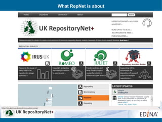 What RepNet is about
 