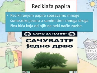 Reciklaža papira
• Recikliranjem papira spasavamo mnoge
šume,reke,jezera a samim tim i mnoga druga
živa bića koja od njih na neki način zavise.
 