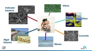 Vibrio
Other
Currents
Waves
Algal
blooms
Indicator
bacteria
 
