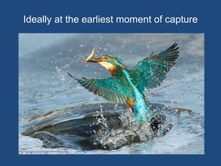 Klein M, Van de Sompel H, Sanderson R, Shankar H, Balakireva L, et al. (2014) Scholarly Context Not Found: One
in Five Articles Suffers from Reference Rot. PLoS ONE 9(12): e115253. doi:10.1371/journal.pone.0115253
http://127.0.0.1:8081/plosone/article?id=info:doi/10.1371/journal.pone.0115253
Mementos for URIs archived within 14 days of being referenced
Elsevier corpus
6 publicly accessible web archives for lookup: Internet Archive, archive.is (archive.today),
Archive-It, BL Web Archive, UK National Archives Web Archive & Icelandic National Archive
 