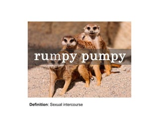 Definition: Sexual intercourse

 