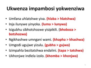 Ukwenza impambosi yokwenziwa
• Umfana uhlatshwe yiva. (hlaba > hlatshwa)
• Inja ilunywe yinyoka. (luma > lunywa)
• Isigubhu sibhotshozwe yisipikili. (bhoboza >
botshozwa)
• Ngikhashwe umngani wami. (khapha > khashwa)
• Umgodi ugujwe yizulu. (gubha > gujwa)
• Izimpahla bezitatshwa endalini. (tapa > tatshwa)
• Ukhonjwe indlela izolo. (khomba > khonjwa)
5
 
