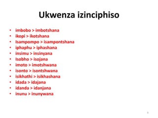 Ukwenza izinciphiso
• imbobo > imbotshana
• ikopi > ikotshana
• Isampompo > isampontshana
• iphaphu > iphashana
• insimu > insinyana
• Isobho > isojana
• imoto > imotshwana
• isonto > isontshwana
• isikhathi > isikhashana
• idada > idajana
• idanda > idanjana
• inunu > inunywana
6
 