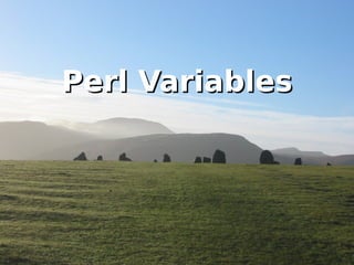 Perl's Name Practical Extraction and Reporting Language 