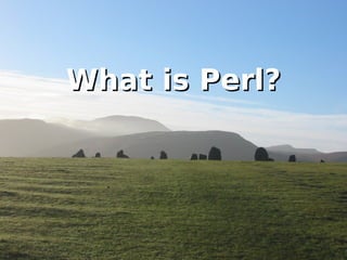 Perl variables 