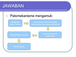 JAWABAN
1. Patomekanisme mengamuk:
Gangguan
sistem Limbik
Penurunan ukuran amydala,
hipocampus dan parahipocampus
Disorganisasi neuron
Kontrol emosi tak
terkendali
MENGAMUK
 