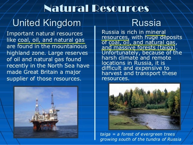 What are natural resources found in the tundra?