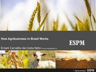 Agribusiness
How Agribusiness in Brazil Works
Ernani Carvalho da Costa Neto Ernani.neto@espm.br
 